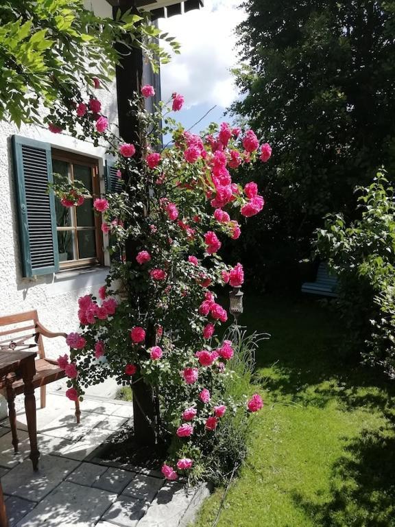 'Sissi' Ein Zaubehaftes Apartement Im Modernen Landhausstil 奥巴拉马高 外观 照片